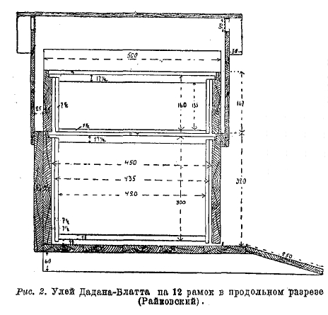  Улей Дадана-Блатта на 12 рамок в продольном разрезе (Райковский).