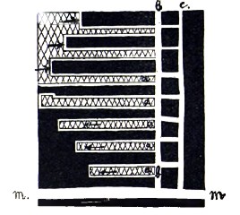 Рис. 17. Выемка длинными столбами. Выемку ведут от бремсберга b (с вентиляционным штреком с) широкими забоями а (нижняя часть рисунка); дойдя до краев поля, идут обратно, забирая оставшиеся столбы (верхняя часть рисунка).